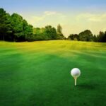 golf 2
